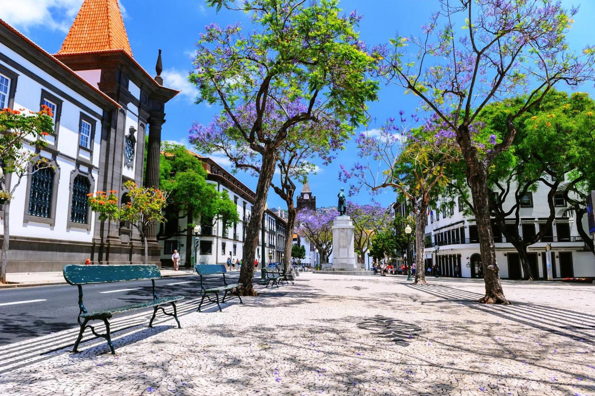 Stylish Apartment With Balcony And Amazing Views Over Funchal And The Sea Exterior photo